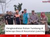 Pengkondisian Pohon Tumbang di beberapa Desa di Kecamatan Juwiring