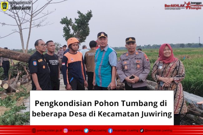 Pengkondisian Pohon Tumbang di beberapa Desa di Kecamatan Juwiring
