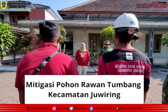 Mitigasi Pohon Rawan Tumbang Kecamatan Juwiring