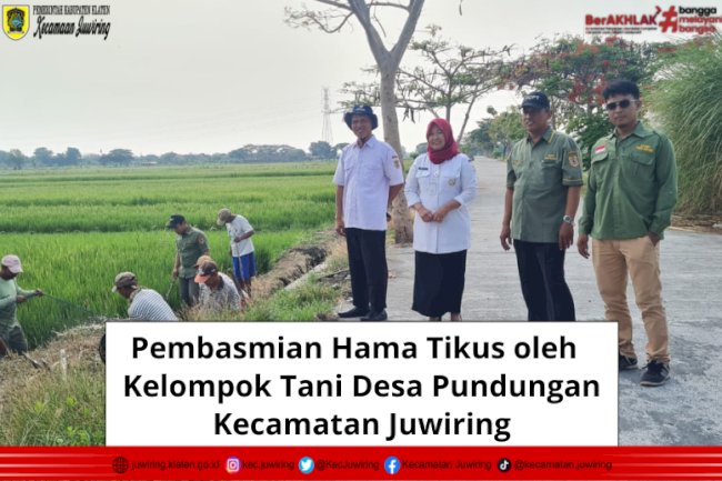 Pembasmian Hama Tikus Kelompok Tani Desa Pundungan Kecamatan Juwiring