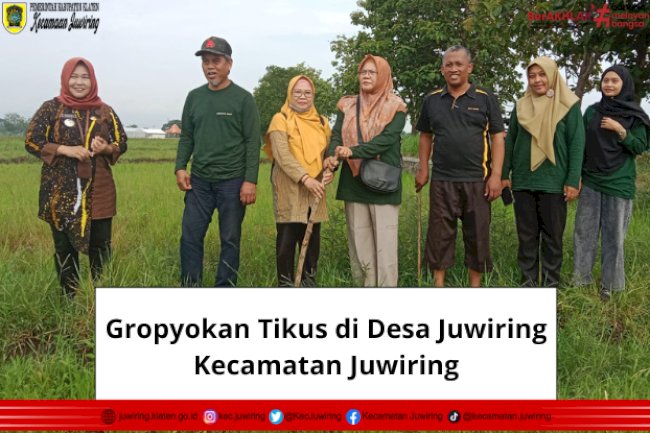 Gropyokan Tikus di Desa Juwiring Kecamatan Juwiring
