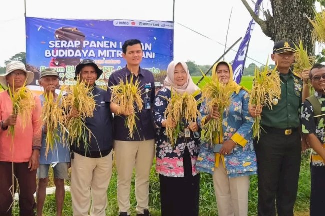 Serap Panen Mitra Tani di Desa Kwarasan Kolaborasi Petani dan Pemerintah