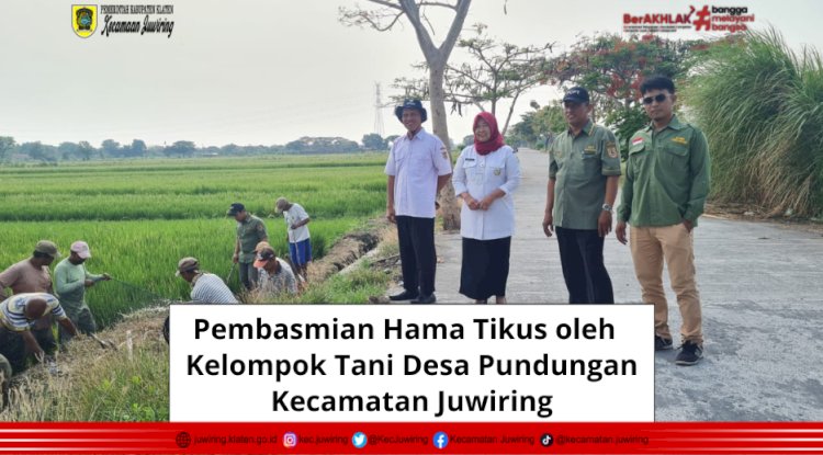 Pembasmian Hama Tikus Kelompok Tani Desa Pundungan Kecamatan Juwiring