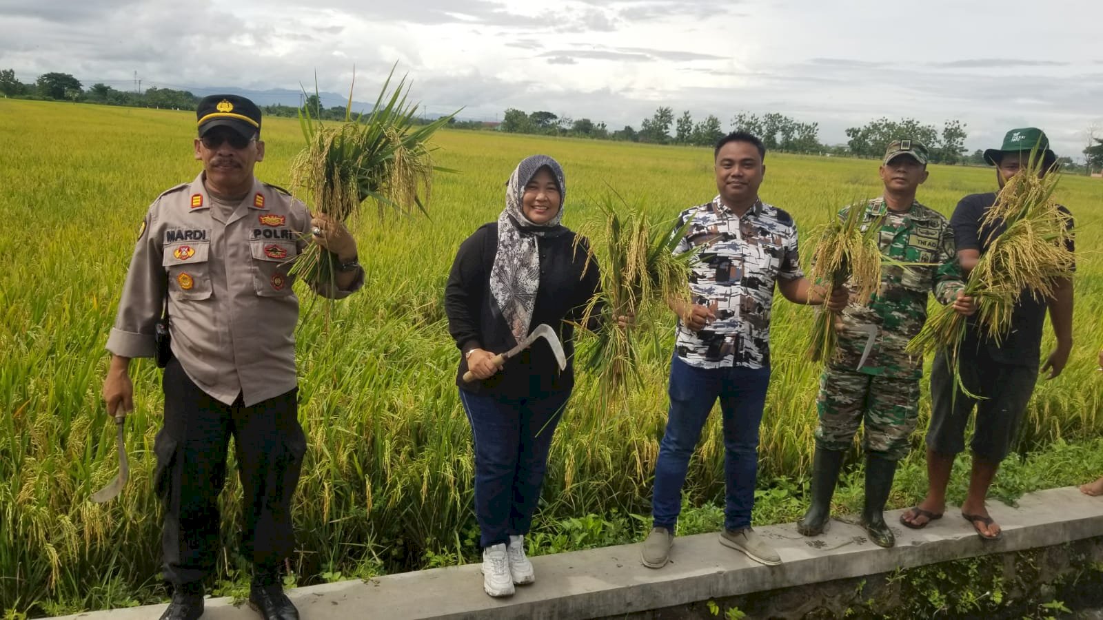 Panen Raya Bersama Kelompok Tani "Mardi Rahayu" di Desa Taji, Kecamatan Juwiring