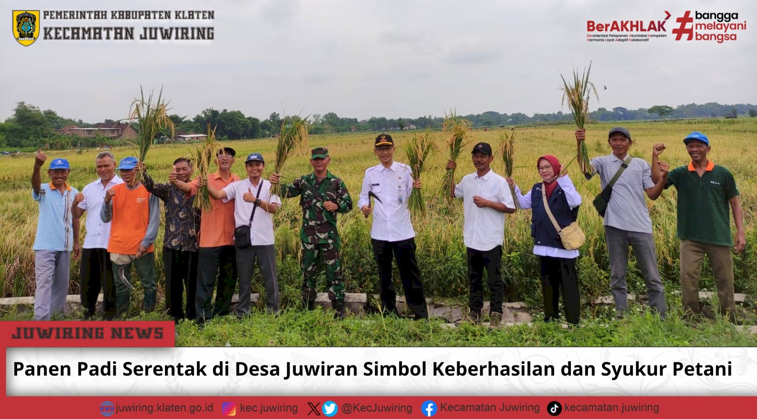 Panen Padi Serentak di Desa Juwiran Simbol Keberhasilan dan Syukur Petani