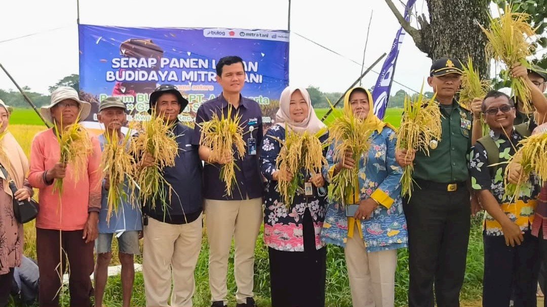 Serap Panen Mitra Tani di Desa Kwarasan Kolaborasi Petani dan Pemerintah
