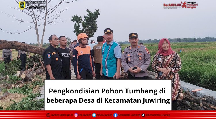 Pengkondisian Pohon Tumbang di beberapa Desa di Kecamatan Juwiring