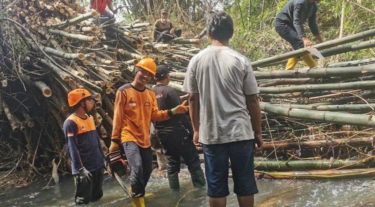 Pengkondisian Rumpun Bambu Tumbang dan beberapa Pohon di Desa Kenaiban