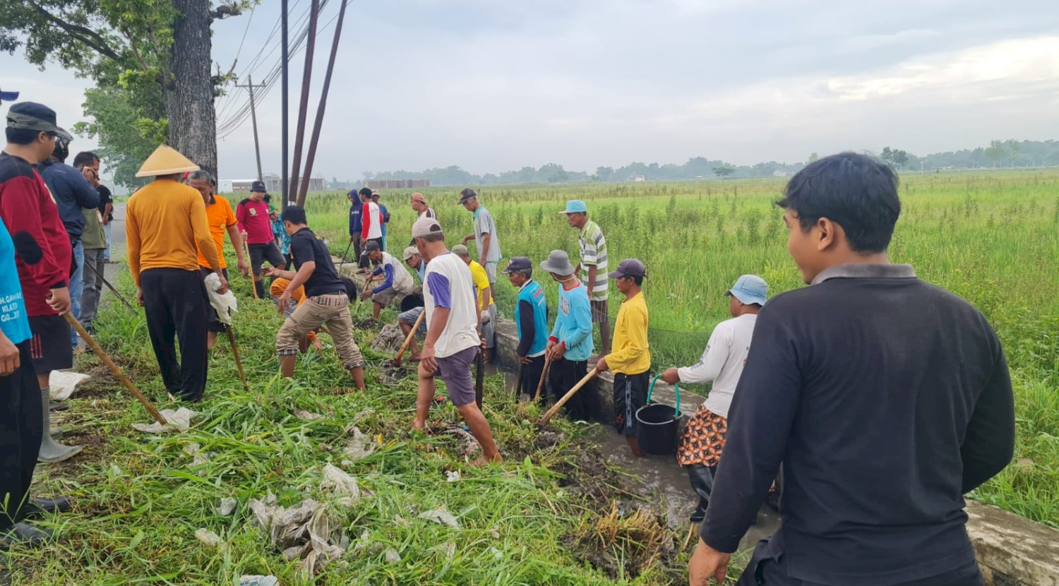 Gropyokan Tikus di Desa Bulurejo Kecamatan Juwiring.