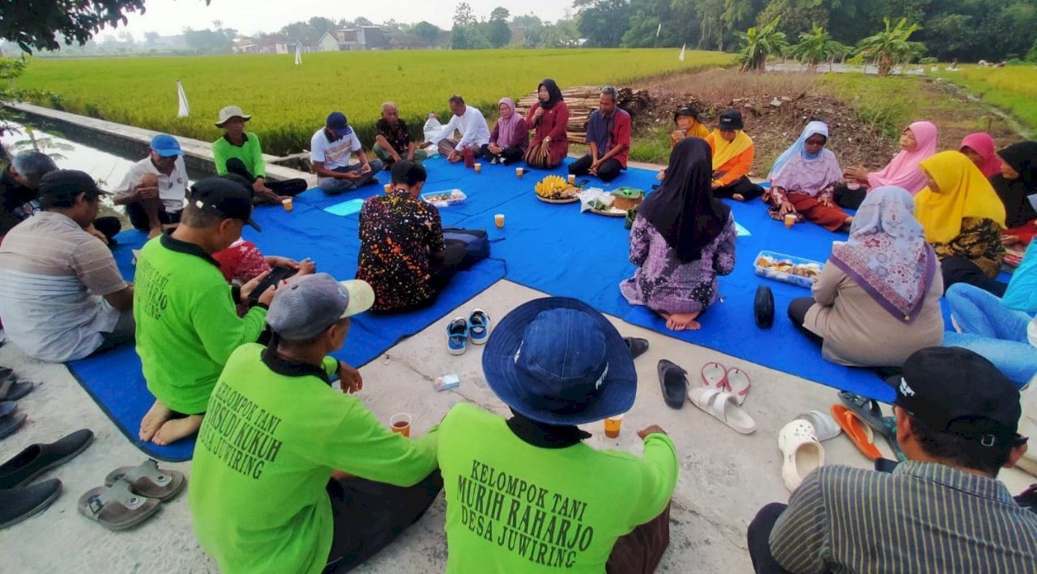 Tasyakuran Panen Raya Kolaborasi Pemerintah dan Petani Desa Juwiring Menuai Berkah