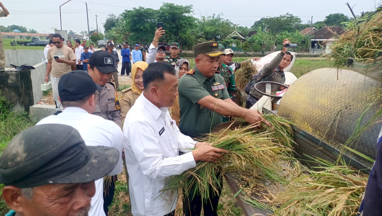 Penyerapan Gabah Hasil Budidaya Petani di Desa Kwarasan