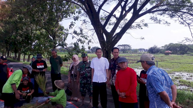 Sekcam Juwiring Hadiri Ubinan Padi Srinuk Bersama Petani & DKPP